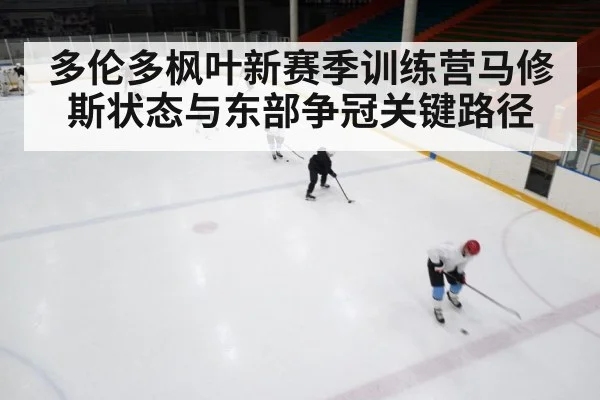 多伦多枫叶新赛季训练营马修斯状态与东部争冠关键路径